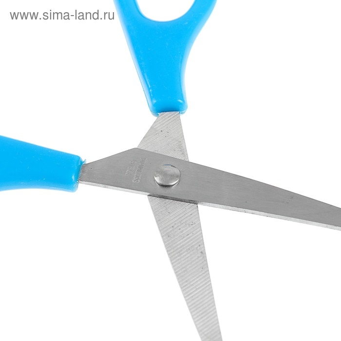 Ножницы 13.5 см, в пластиковом футляре, МИКС Ножницы 13.5 см, в пластиковом футляре, МИКС