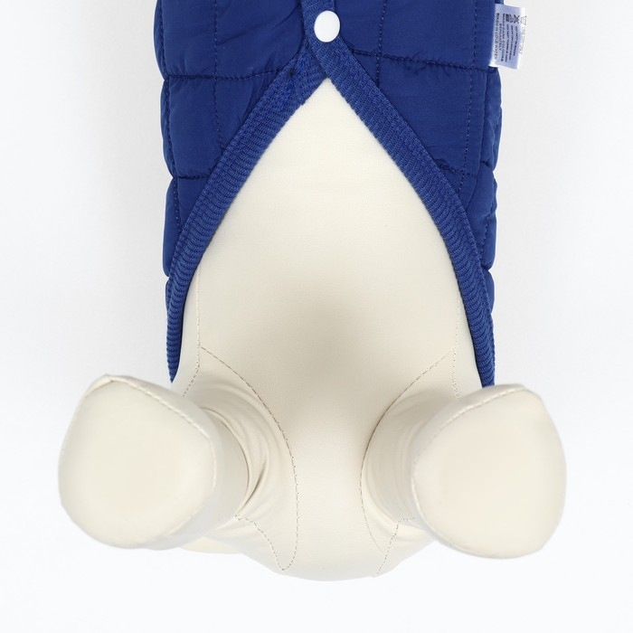 Куртка для собак  Куртка для собак "Nice", размер S (ДС 25 см, ОШ 25 см, ОГ 34 см), синяя