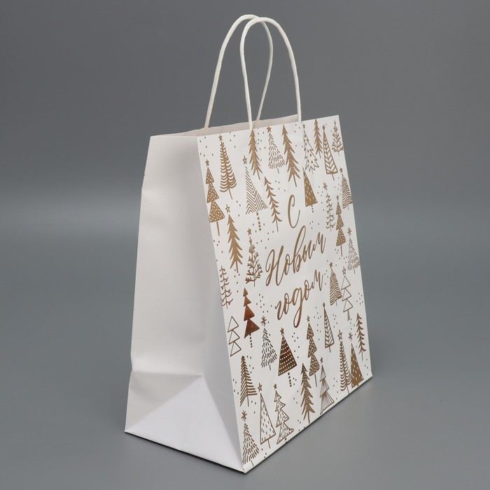 Пакет подарочный новогодний крафтовый «Новогодняя пора», 22 х 25 х 12 см, Новый год Пакет подарочный новогодний крафтовый «Новогодняя пора», 22 х 25 х 12 см, Новый год