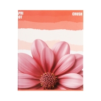 Тетрадь 96 листов в клетку Calligrata "Apricot Crush", обложка мелованный картон, глянцевая ламинация, блок офсет МИКС