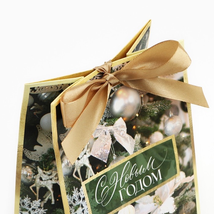 Пакет подарочный новогодний с лентой «Зима», 13 х 19 х 9 см Пакет подарочный новогодний с лентой «Зима», 13 х 19 х 9 см