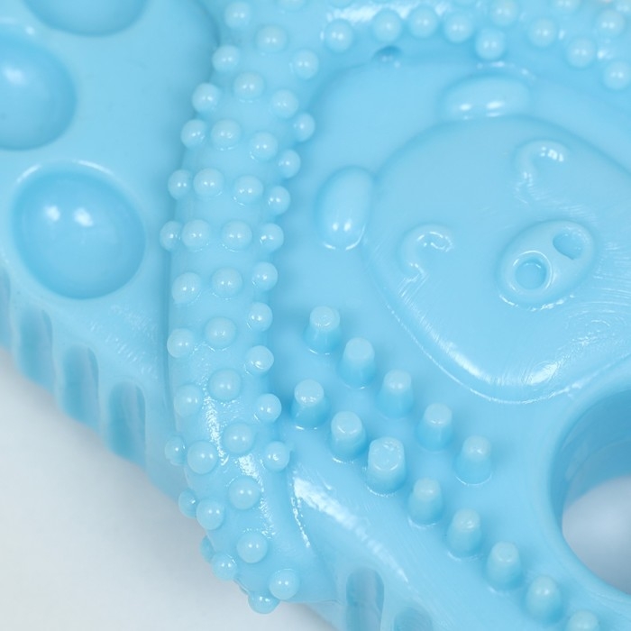 Игрушка для собак  Игрушка для собак "Шлёпка", TPR,  массажная, 12 х 6,2 см, голубая