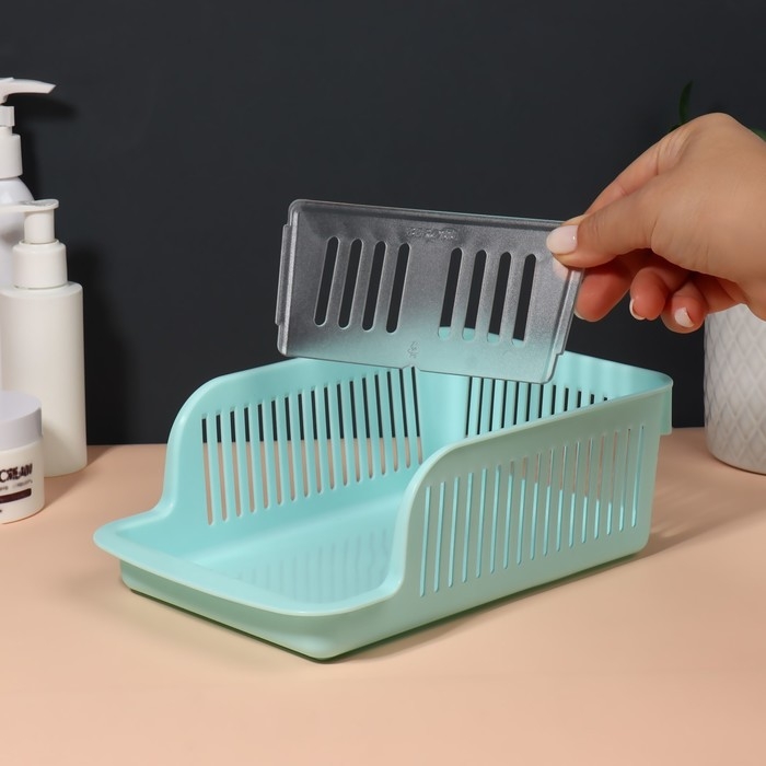 Органайзер для хранения косметических принадлежностей &laquo;Prestige&raquo;, 2 секции, 23 &times; 16,1 см, цвет мятный