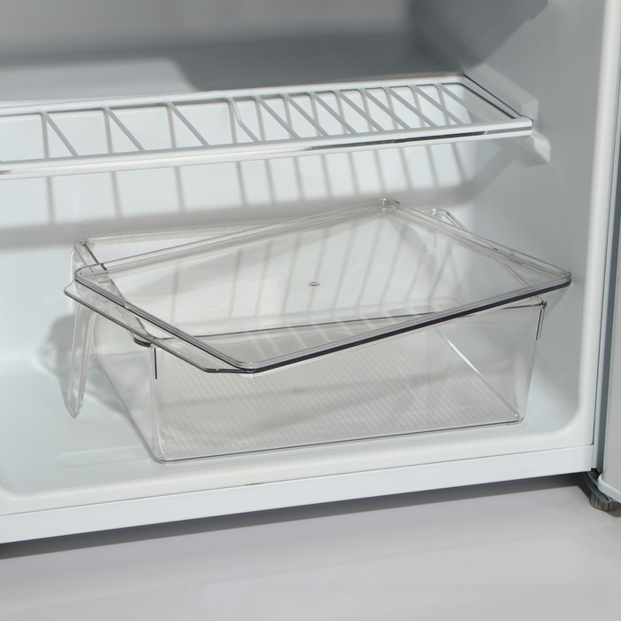 Контейнер для холодильника с крышкой и ручкой RICCO, 32×20,5×10 см