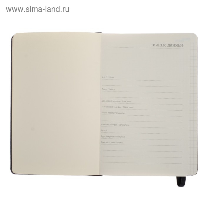 Бизнес-блокнот А5, 100 листов Megapolis Journal, искусственная кожа, тонированный блок, на резинке, чёрный Бизнес-блокнот А5, 100 листов Megapolis Journal, искусственная кожа, тонированный блок, на резинке, чёрный