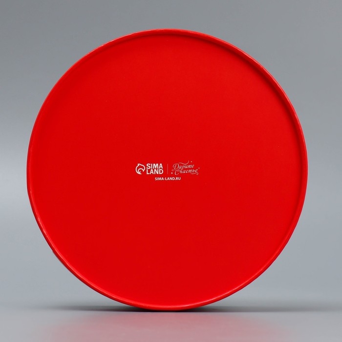 Коробка для макарун тубус с окном «Новогодняя ботаника», 20 х 20 х 5 см, Новый год