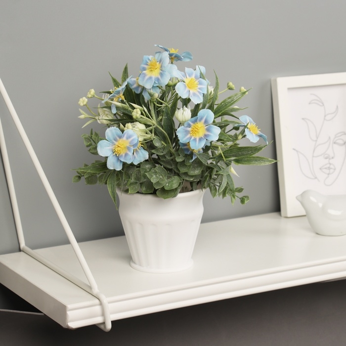 Бонсай в горшке Бонсай в горшке "Примула экстра премиум" 21х9 см, микс