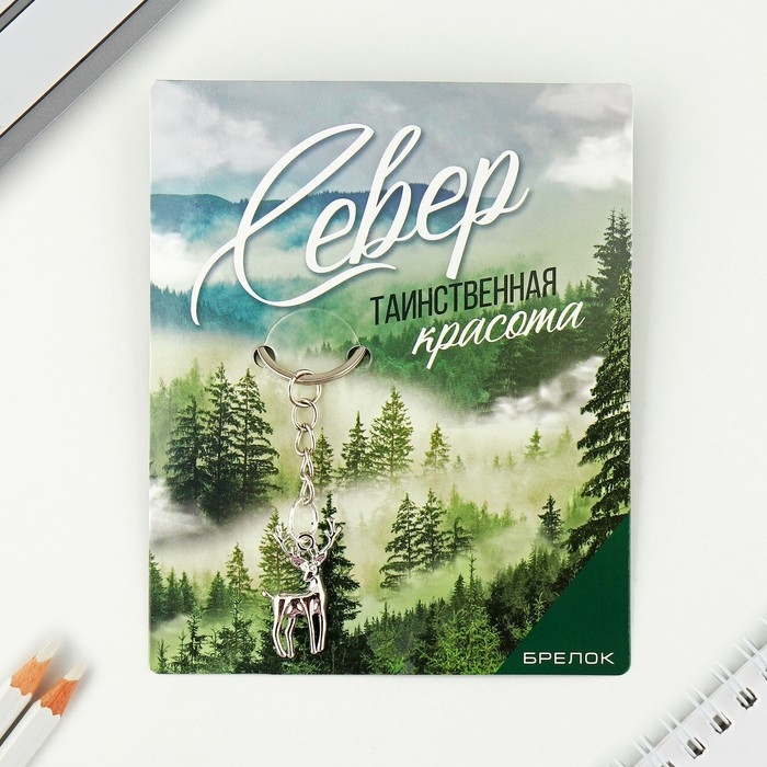 Брелок для ключей Брелок для ключей "Север"