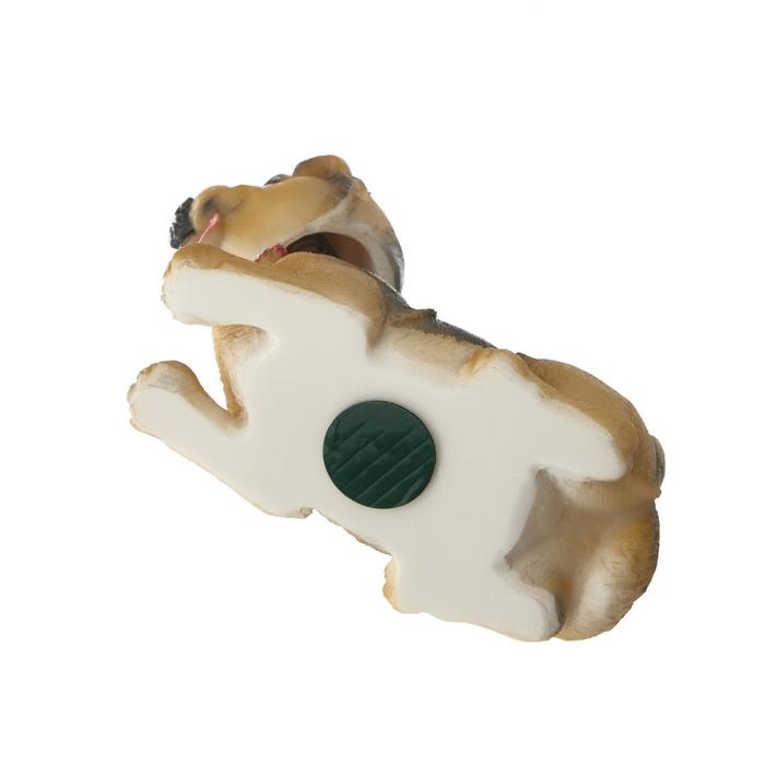 Собака на панель авто, качающая головой, спаниель Собака на панель авто, качающая головой, спаниель