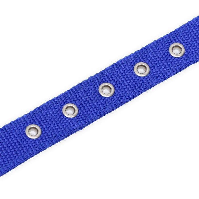 Ошейник двухслойный с вертлюгом, 58 х 3 см, полиэстер, синий Ошейник двухслойный с вертлюгом, 58 х 3 см, полиэстер, синий