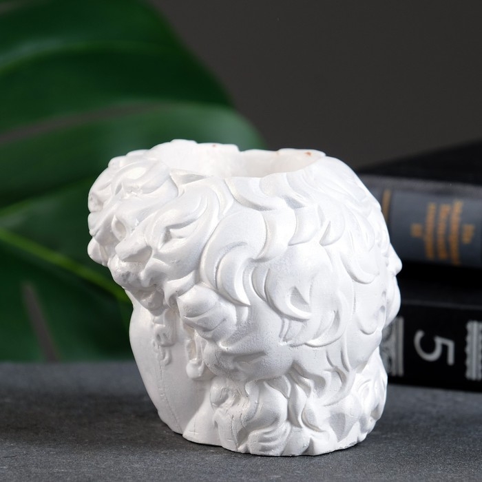 Кашпо - органайзер Кашпо - органайзер"Голова Давида" перламутр, 9х9х9см