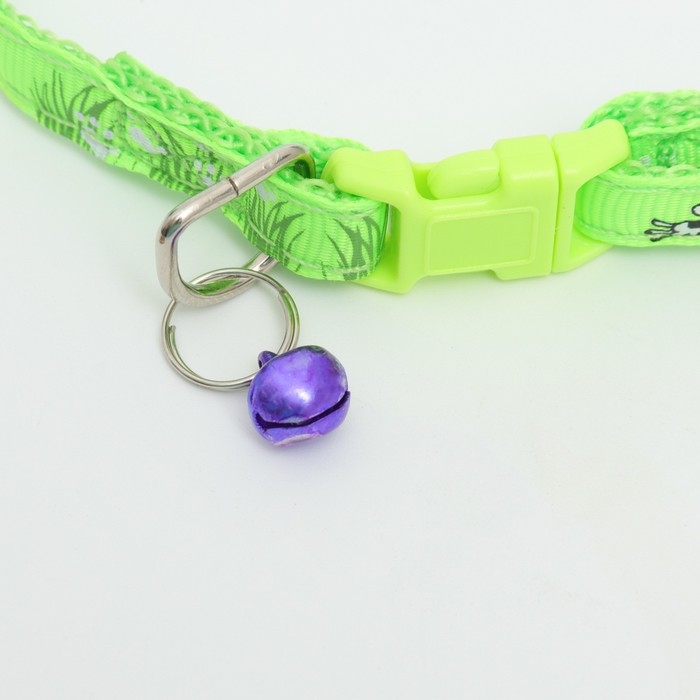 Ошейник Ошейник "Лето" с бубенчиком, 30 х 1 см, капрон, салатовый