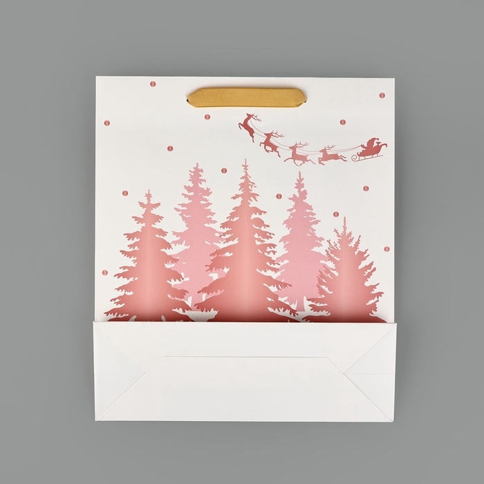 Пакет подарочный новогодний ламинированный «Сказочный лес», тиснение, M 30 х 26 х 9 см, Новый год Пакет подарочный новогодний ламинированный «Сказочный лес», тиснение, M 30 х 26 х 9 см, Новый год