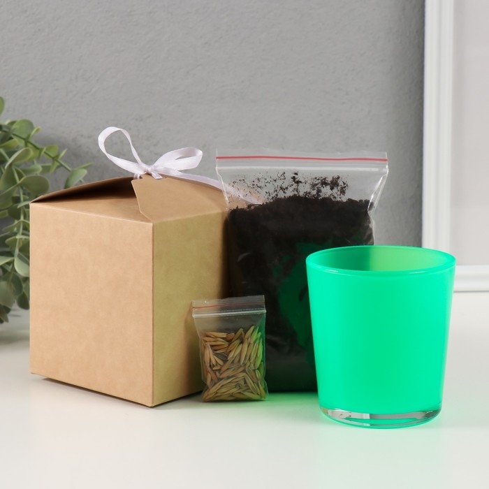 Набор для выращивания растений Набор для выращивания растений "Вырасти травку" зеленый