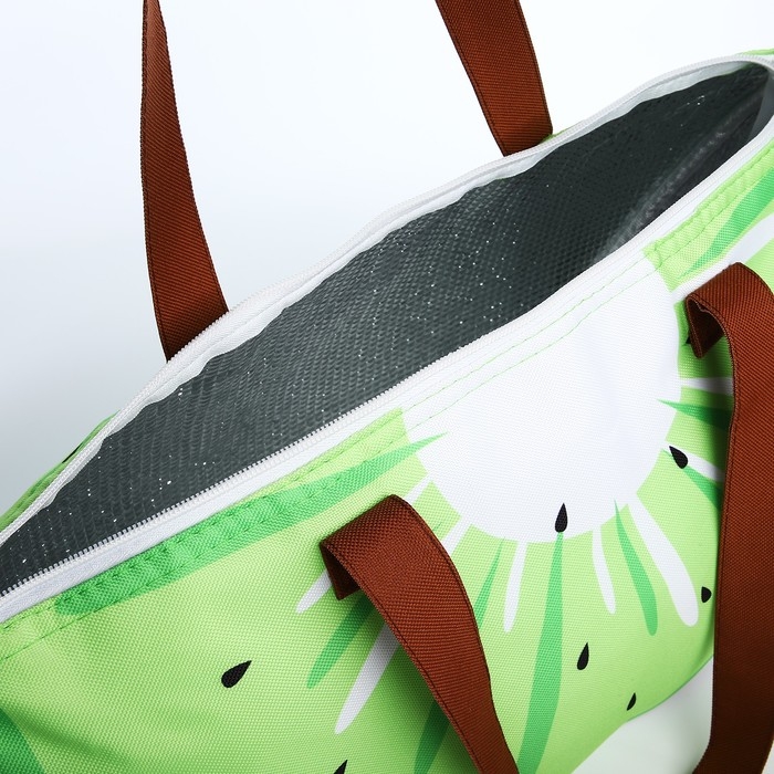 Термосумка на молнии, 10 л, цвет зелёный Термосумка на молнии, 10 л, цвет зелёный