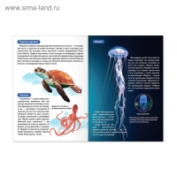 Мини-энциклопедии «Мир животных», набор 6 шт. по 20 стр.