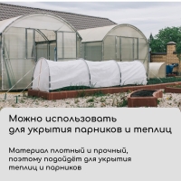 Материал укрывной, 5 × 3,2 м, плотность 42 г/м², спанбонд с УФ-стабилизатором, белый, Greengo, Эконом 30%