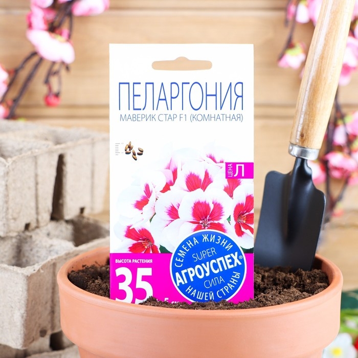 Семена цветов Пеларгония  Семена цветов Пеларгония "Маверик Стар", F1, 4 шт