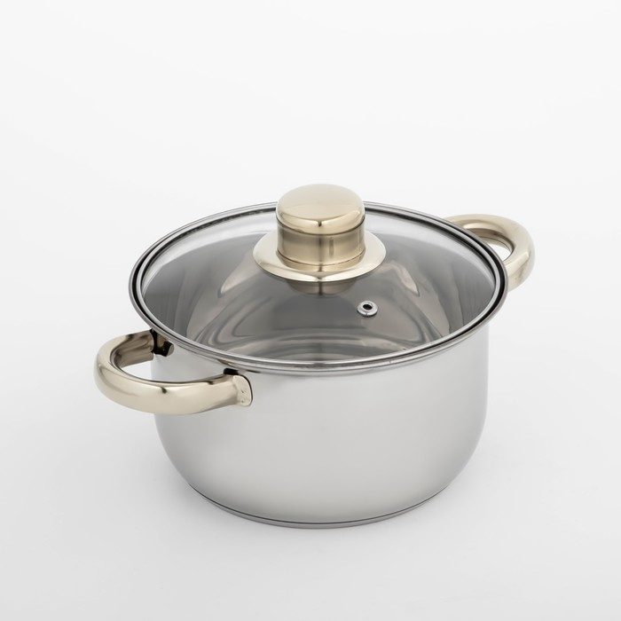 Кастрюля из нержавеющей стали с крышкой Доляна «Роскошь», 1,5 л, d=17 см Кастрюля из нержавеющей стали с крышкой Доляна «Роскошь», 1,5 л, d=17 см