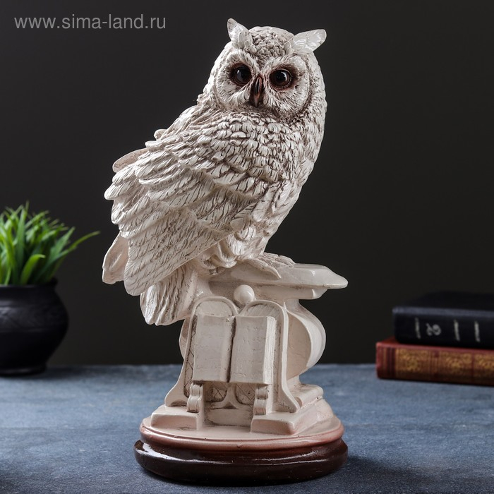 Фигура  Фигура "Сова с книгой на подставке" 18х21х34см состаренная