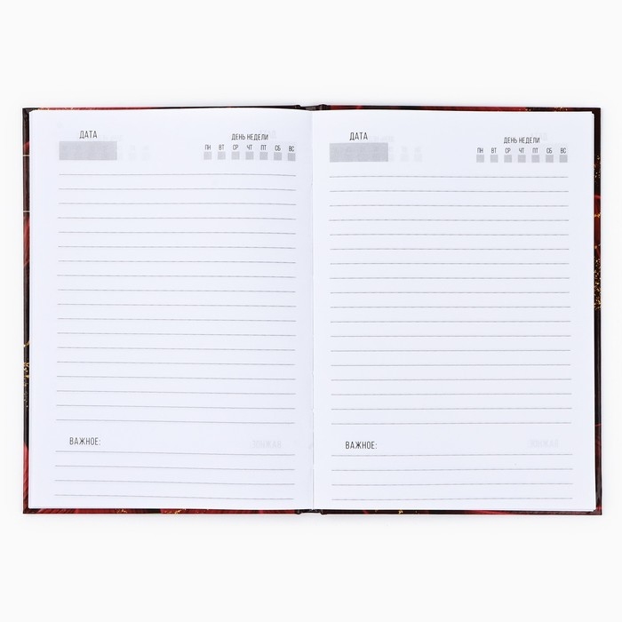 Ежедневник А5, 80 л, твердая обложка, бордовый &laquo;Золотому учителю&raquo;