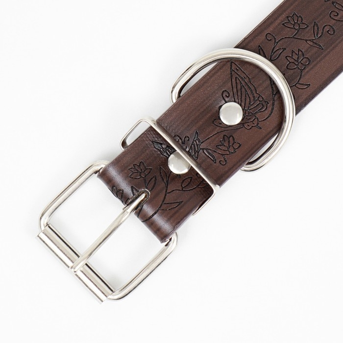 Ошейник с основой из термопластичной резины Ошейник с основой из термопластичной резины "Бабочки", 60 х 3 см, ОШ 43-53, коричневый