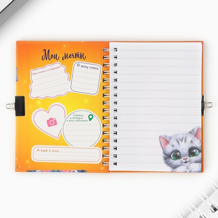 Записная книжка на замочке &laquo;Хорошего котика должно быть много&raquo;, 50 листов.