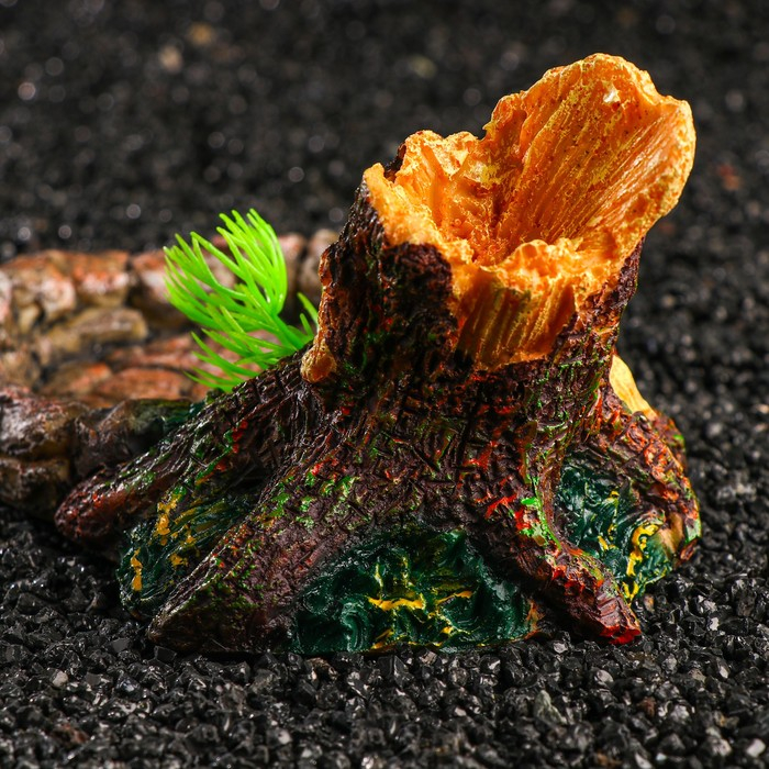 Кормушка для террариума, 17,5 х 11,5 х 8,5 см Кормушка для террариума, 17,5 х 11,5 х 8,5 см