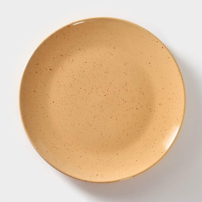 Тарелка керамическая «Каракум», d=23 см, h=2,5 см Тарелка керамическая «Каракум», d=23 см, h=2,5 см