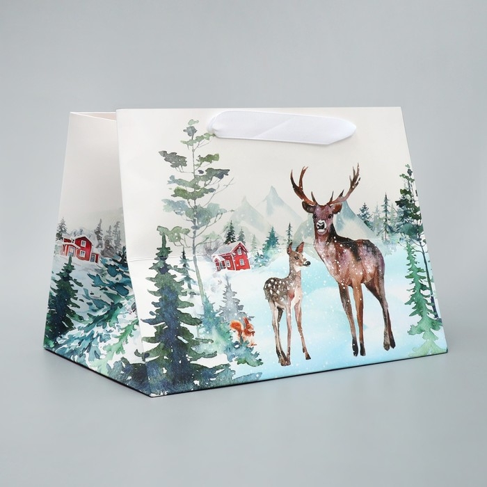 Пакет подарочный новогодний с широким дном «Новогодние чудеса», 25 х 19 х 18 см, Новый год Пакет подарочный новогодний с широким дном «Новогодние чудеса», 25 х 19 х 18 см, Новый год