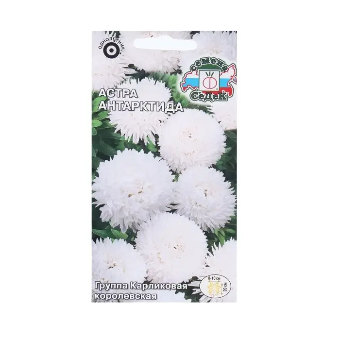 Семена Цветов Астра  Семена Цветов Астра "Антарктида "0.2 г