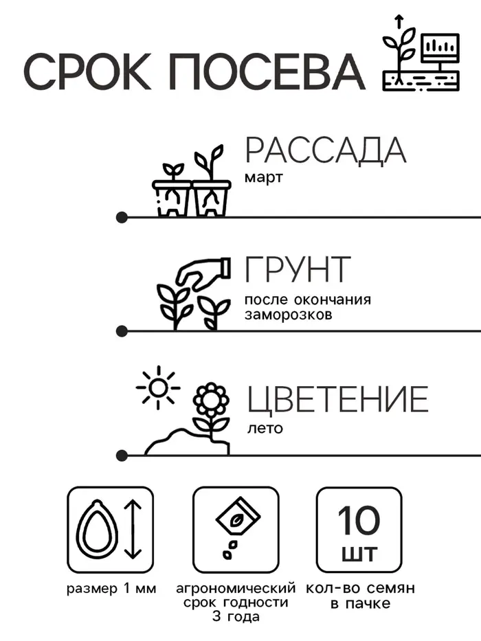 Семена цветов Катарантус "Казанова", 10шт Семена цветов Катарантус "Казанова", 10шт
