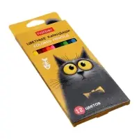 Карандаши 12цв, Hatber, заточ, трехгр, коробка, европодвес 94019