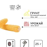Семена Кукуруза сахарная &laquo;Тройная Сладость&raquo;, XXXL, &laquo;Сембат&raquo;, 25 г
