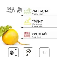 Семена Репа &laquo;Самаркандская местная&raquo;, &laquo;Сделано в СССР - Агрофирма АЭЛИТА&raquo;, 1 г