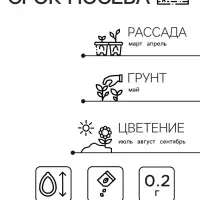 Семена Арктотис "Арлекин", ц/п,  0,2 г