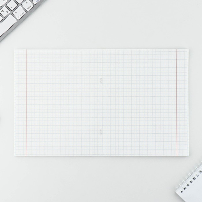 Тетрадь в клетку, 48 листов А5 на скрепке МИКС «1 сентября: Котики», обложка мелованный картон 230 гр внутренний блок №1, белизна 96% Тетрадь в клетку, 48 листов А5 на скрепке МИКС «1 сентября: Котики», обложка мелованный картон 230 гр внутренний блок №1, белизна 96%