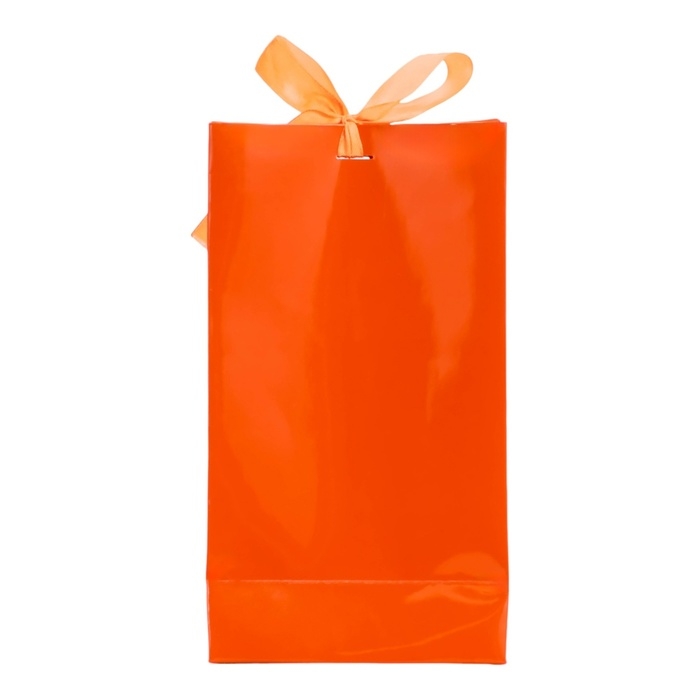 Пакет подарочный с лентой «Красный» 13 х 23 х 7 см, 1 шт.