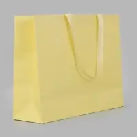 Пакет подарочный, ламинированный, горизонтальный, &laquo;Молочный&raquo;, 48&times;39&times;16 см