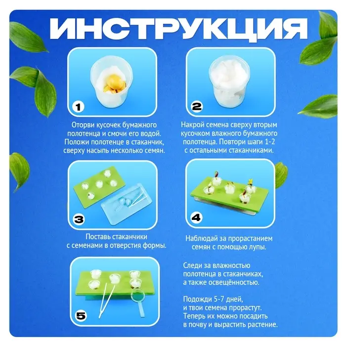 Набор для опытов &laquo;Экоферма&raquo;, своими руками