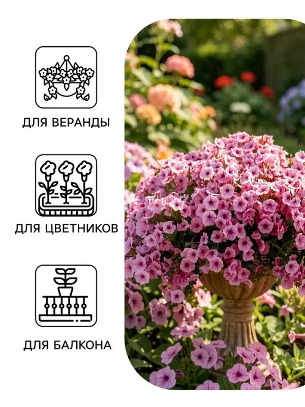 Семена цветов Петуния &laquo;Минибелло&raquo; F1, сиреневая звезда, многоцветковая, 5 шт., Farao, &laquo;АЭЛИТА&raquo;