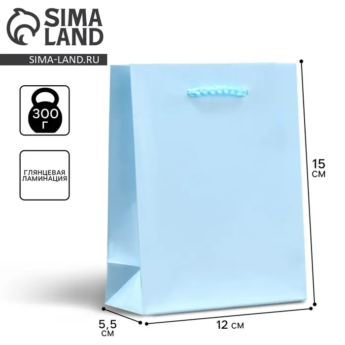 Пакет подарочный ламинированный, упаковка, «Голубой», S 12 х 15 х 5.5 см