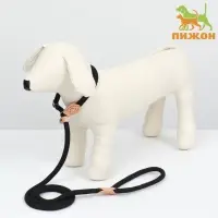 Ринговка для собак, 150&times;1 см, чёрная