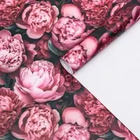 Бумага упаковочная, глянцевая &laquo;Пионы&raquo; 60&times;90 см
