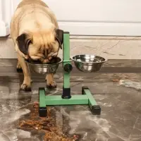 Подставка с мисками для кошек и собак &laquo;Пижон&raquo;, 2&times;250 мл, высота 25 см, разборная, зелёная