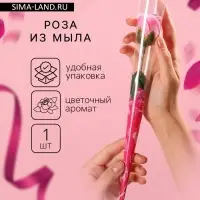 Мыльная роза на стебле в прозрачной упаковке, розовая