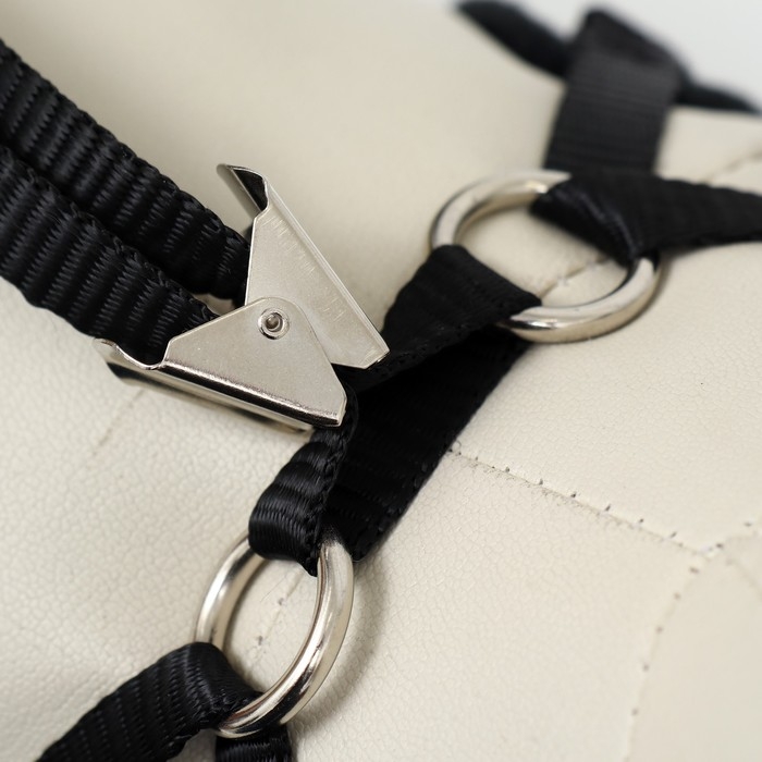 Комплект с мягкой шлейкой и бантиком , размер S, поводок 120 x 1,5 см, ОГ 23-42 см, серый Комплект с мягкой шлейкой и бантиком , размер S, поводок 120 x 1,5 см, ОГ 23-42 см, серый