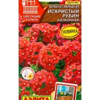 Семена цветов Вербена Искристый рубин балконная  Цветущий балкон, Ц/П,30 шт.