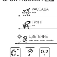 Семена  цветов Флокс "Каприз", смесь окрасок, О, 0,2 г