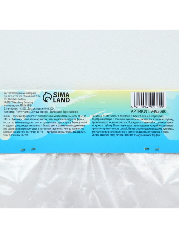 Лилия АОА гибрид November Rain, луковица в пакете с перфорацией, р-р 12/14, 2 шт.